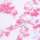 pink-blossom